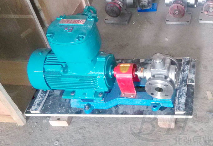 YCB0.6/0.6不銹鋼圓弧齒輪泵